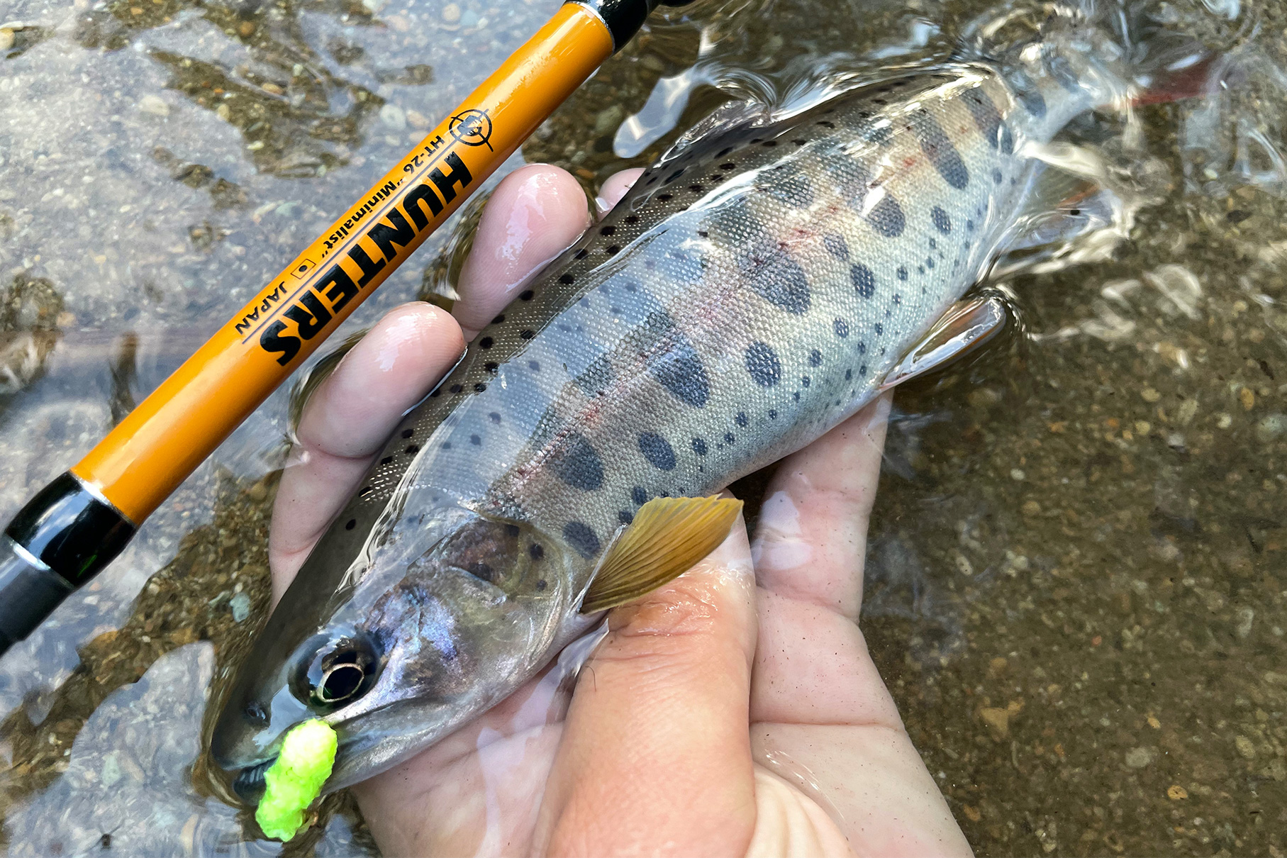 HUNTERS HT-26（第一世代） - Monster Kiss モンスターキス