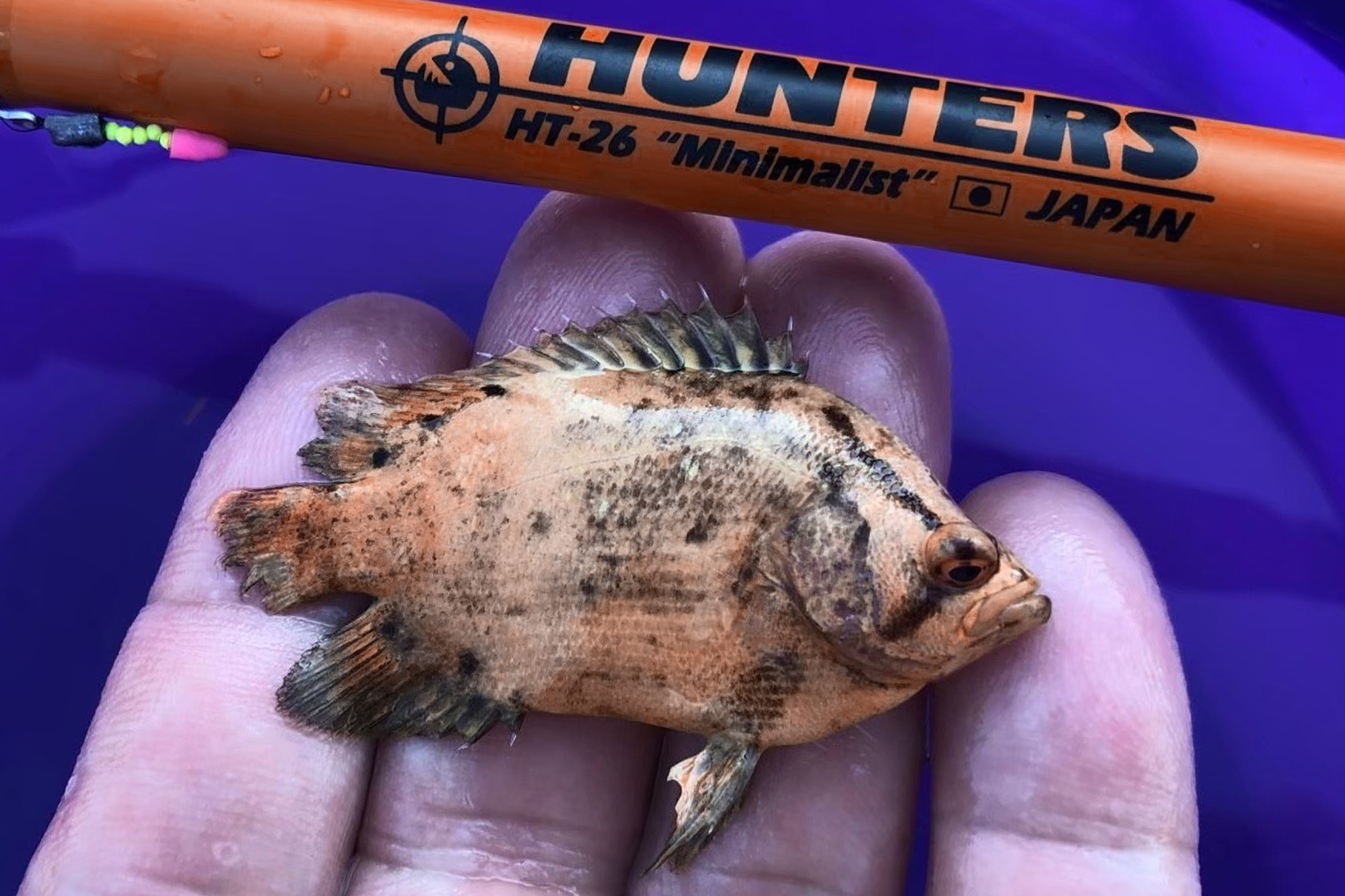 HUNTERS HT-26（第一世代） - Monster Kiss モンスターキス