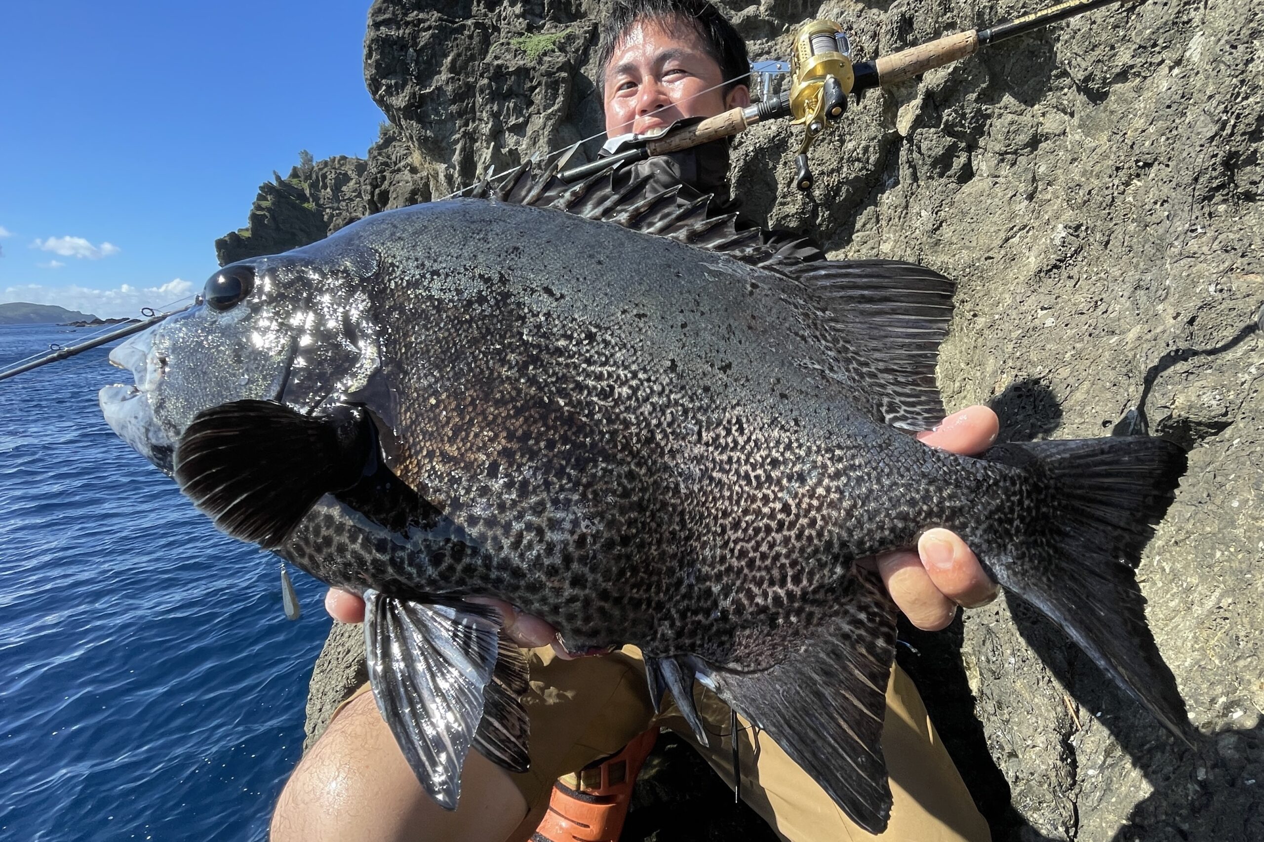 Dear Monster MX-8+ - Monster Kiss モンスターキス