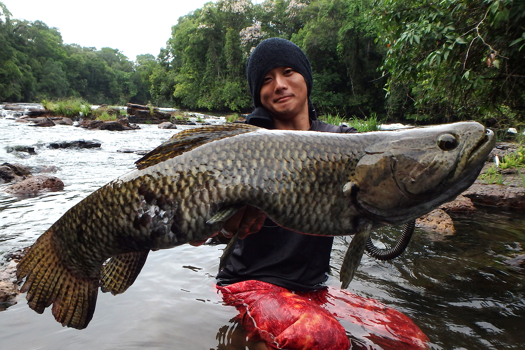 Dear Monster MX-6 - Monster Kiss モンスターキス