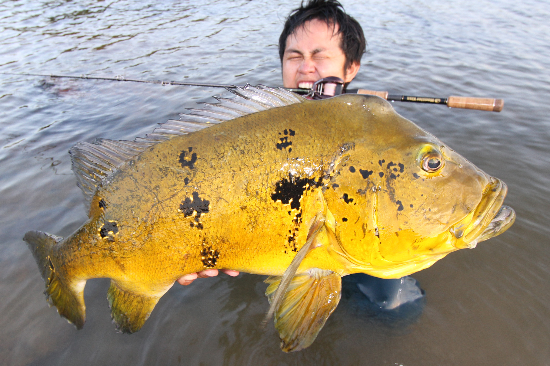 Dear Monster MX-6+ - Monster Kiss モンスターキス