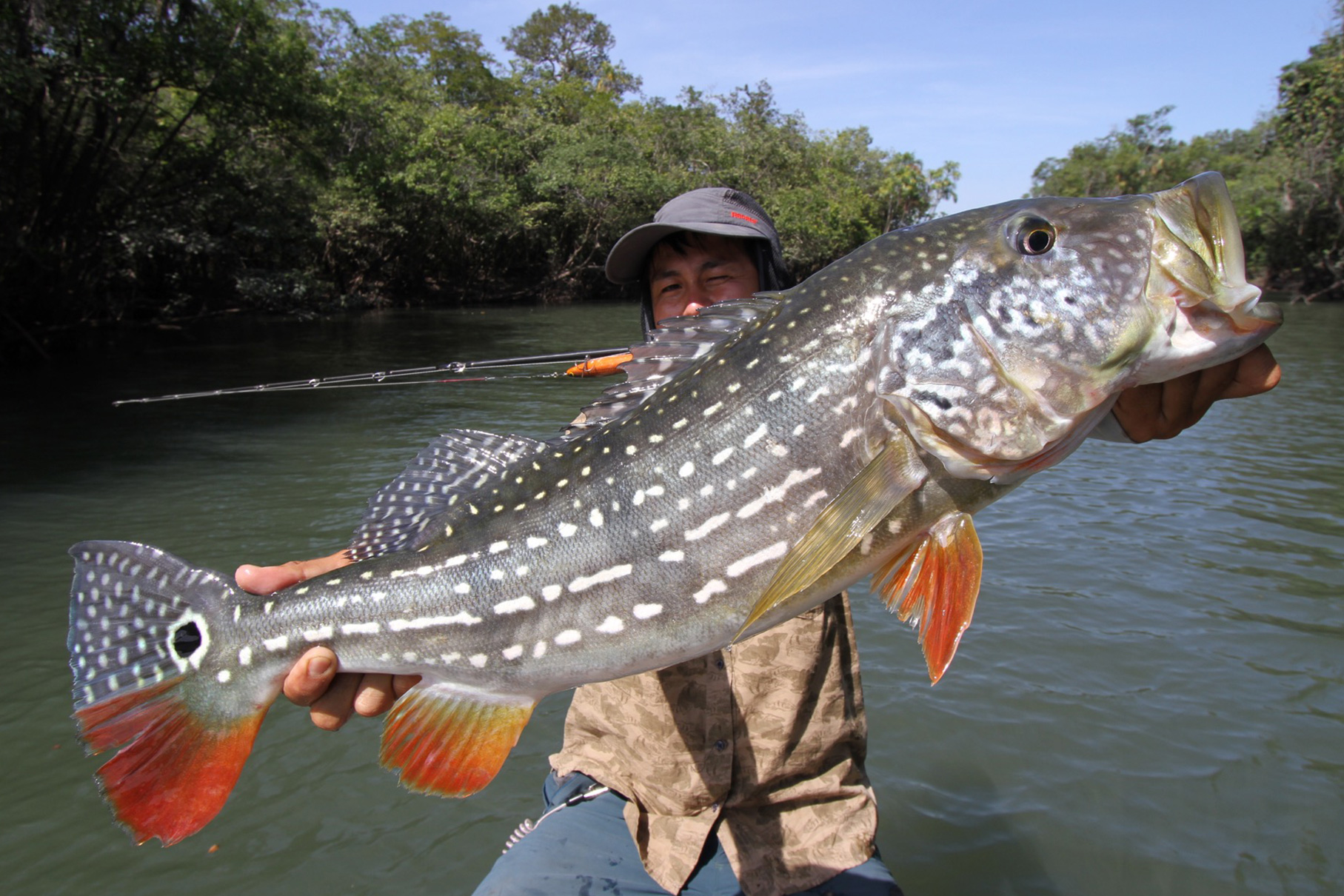 Dear Monster MX-6+ - Monster Kiss モンスターキス