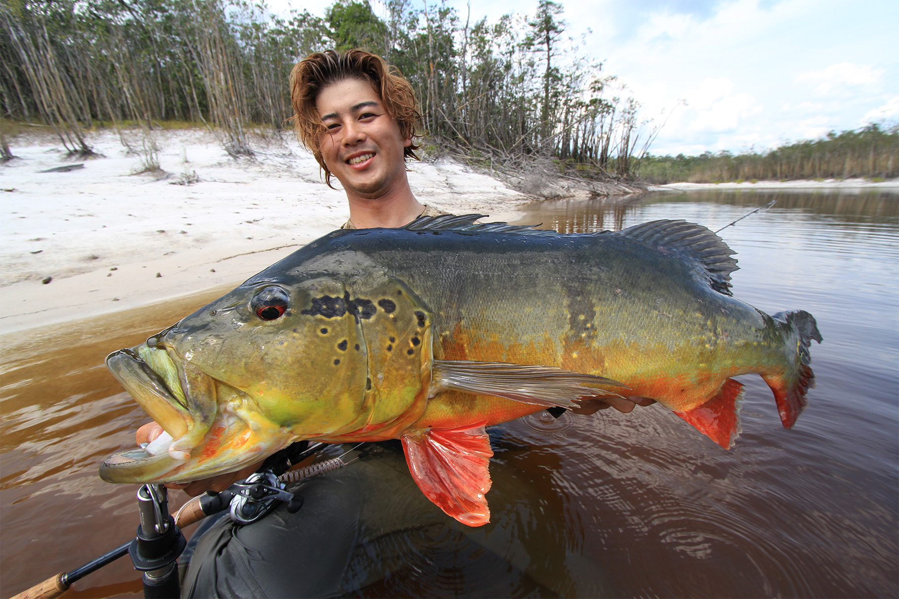 Dear Monster MX-6+ - Monster Kiss モンスターキス