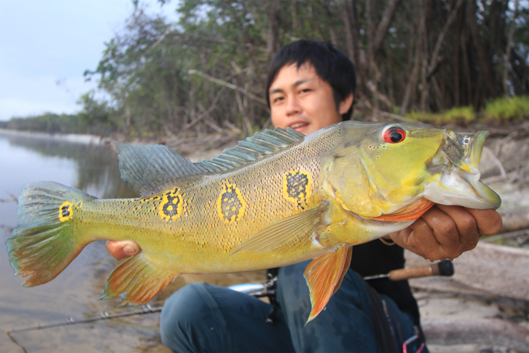 Dear Monster MX-6+ - Monster Kiss モンスターキス