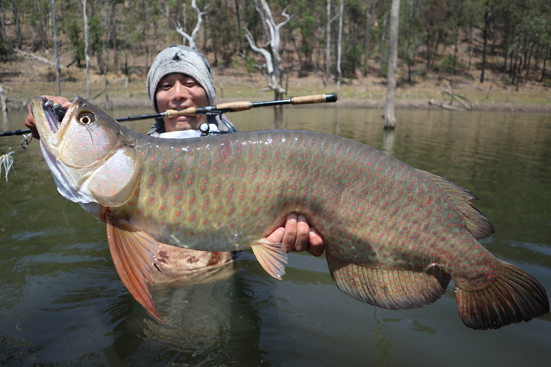 Dear Monster MX-7S - Monster Kiss モンスターキス