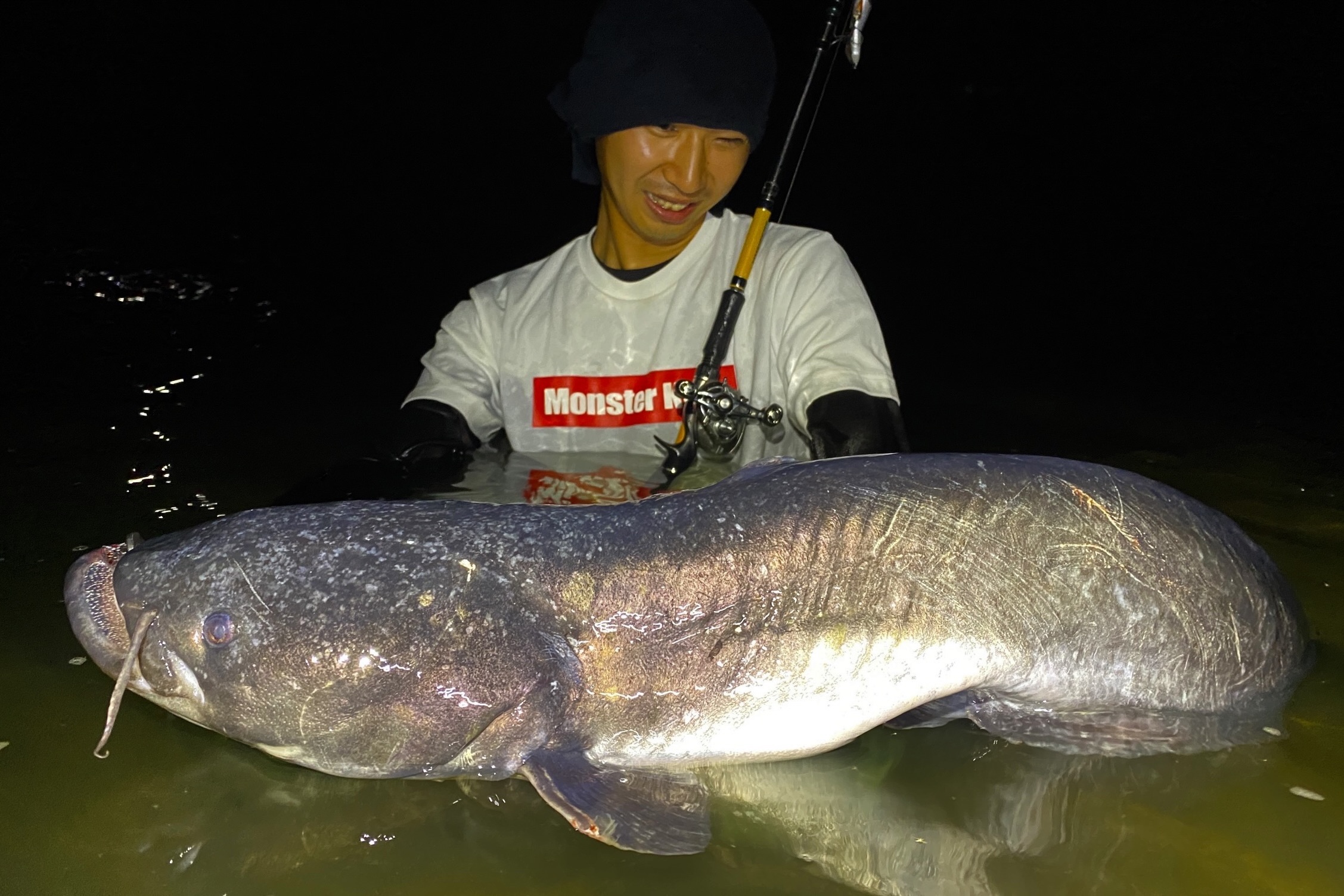 出たぞ、川のオオナマ!!「HT-6/7 」で日本在来ナマズ（シルルス属