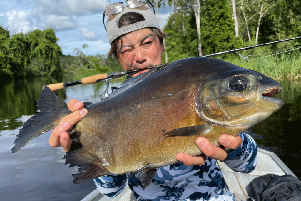 Dear Monster MX-5S - Monster Kiss モンスターキス