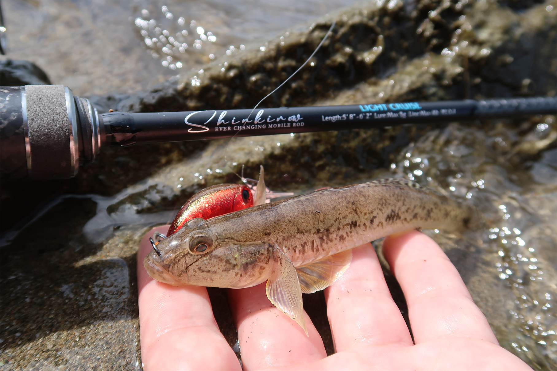 Shinkirow LIGHT-CRUISE 58/63ULS - Monster Kiss モンスターキス