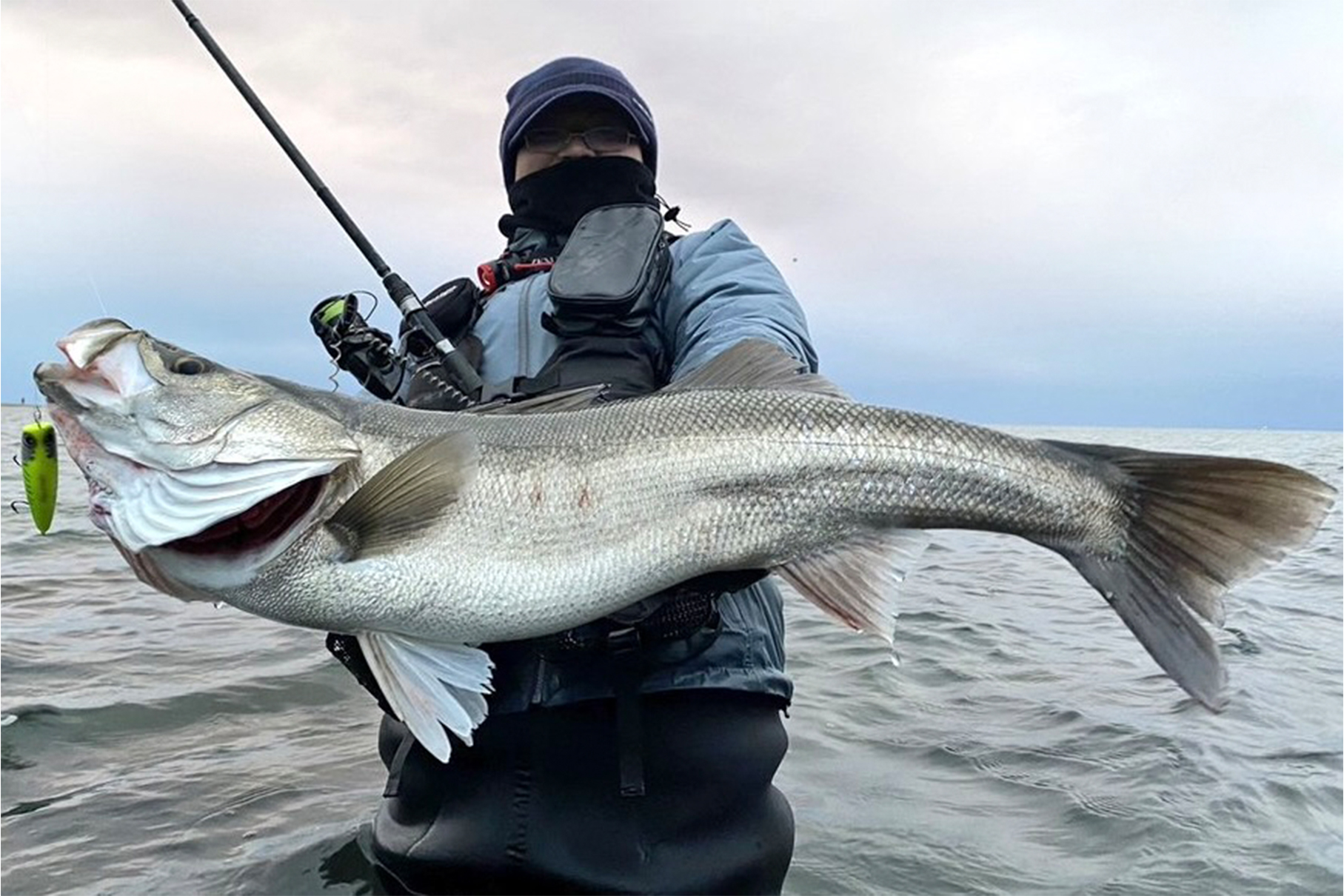 Shinkirow NEW-DAWN 810/94MS - Monster Kiss モンスターキス