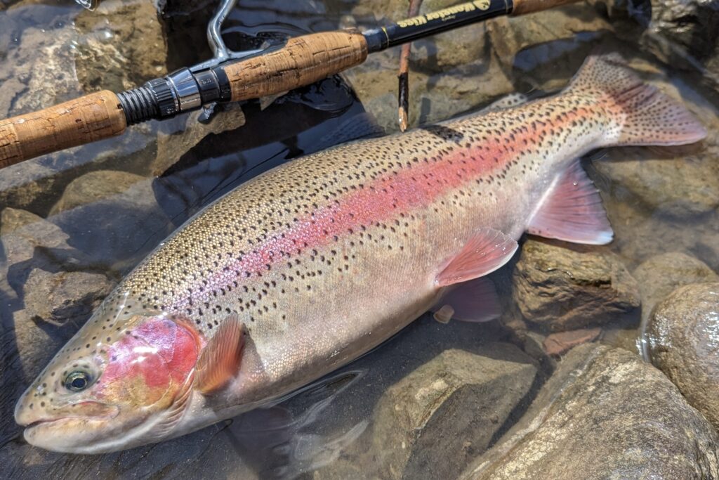 MZ-6S」の“北海道スペック”としての可能性。虹に桜……ディアモンで