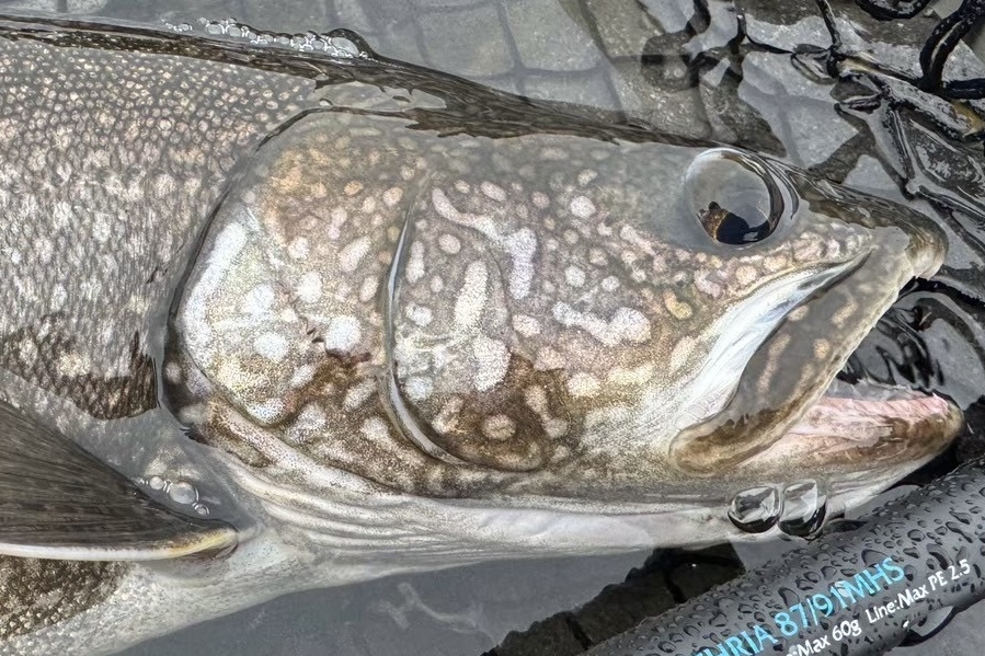 Shinkirow AITHRIA 88/92MHS」で挑む! レイクトラウトフィッシング＠中