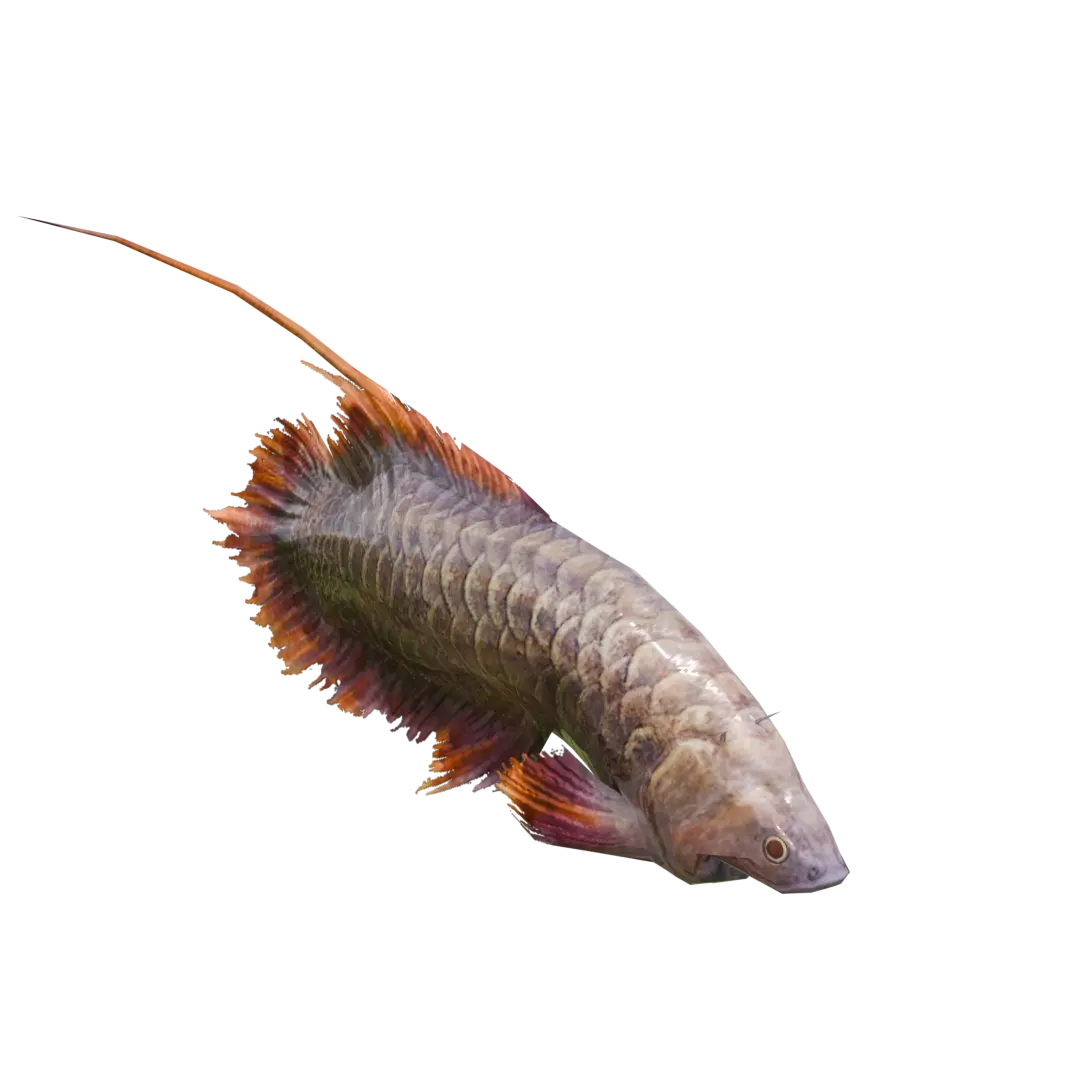 MHWI-Bomb_Arowana_Render_001.