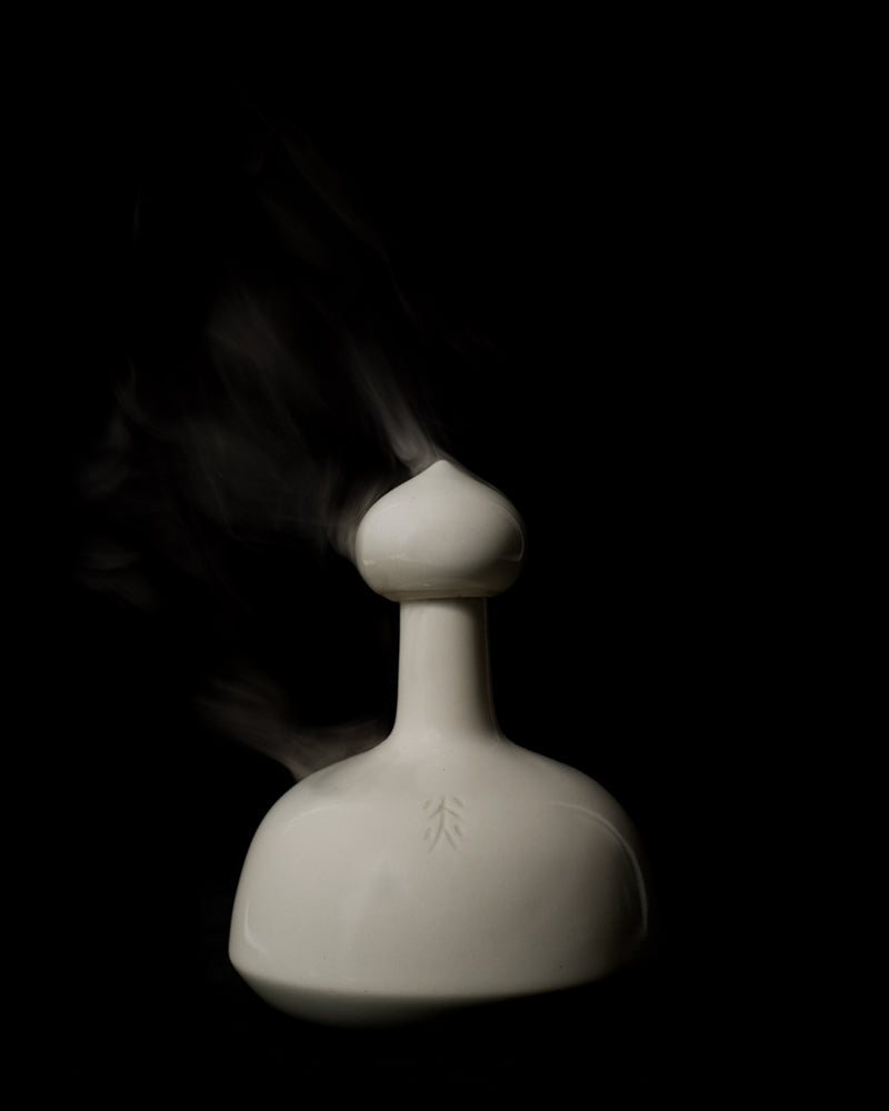 海千山千會 炎の象