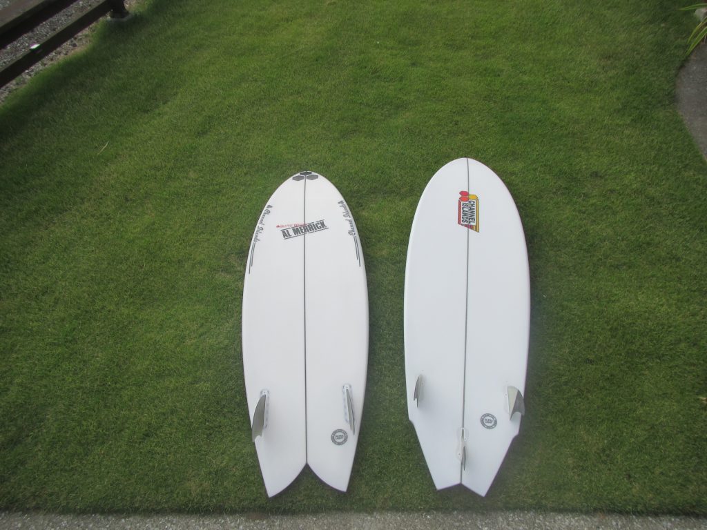 フィッシュビアードとCiツインフィン | MOANA COASTAL SERVICE