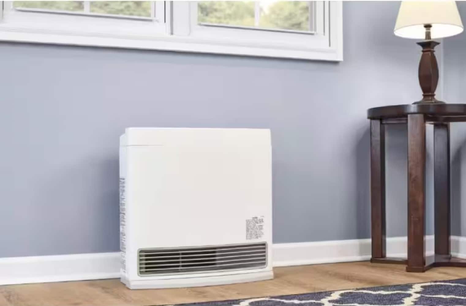 Rinnai 10000-BTU Floor-Mount Indoor Liquid Propane Vent-Free