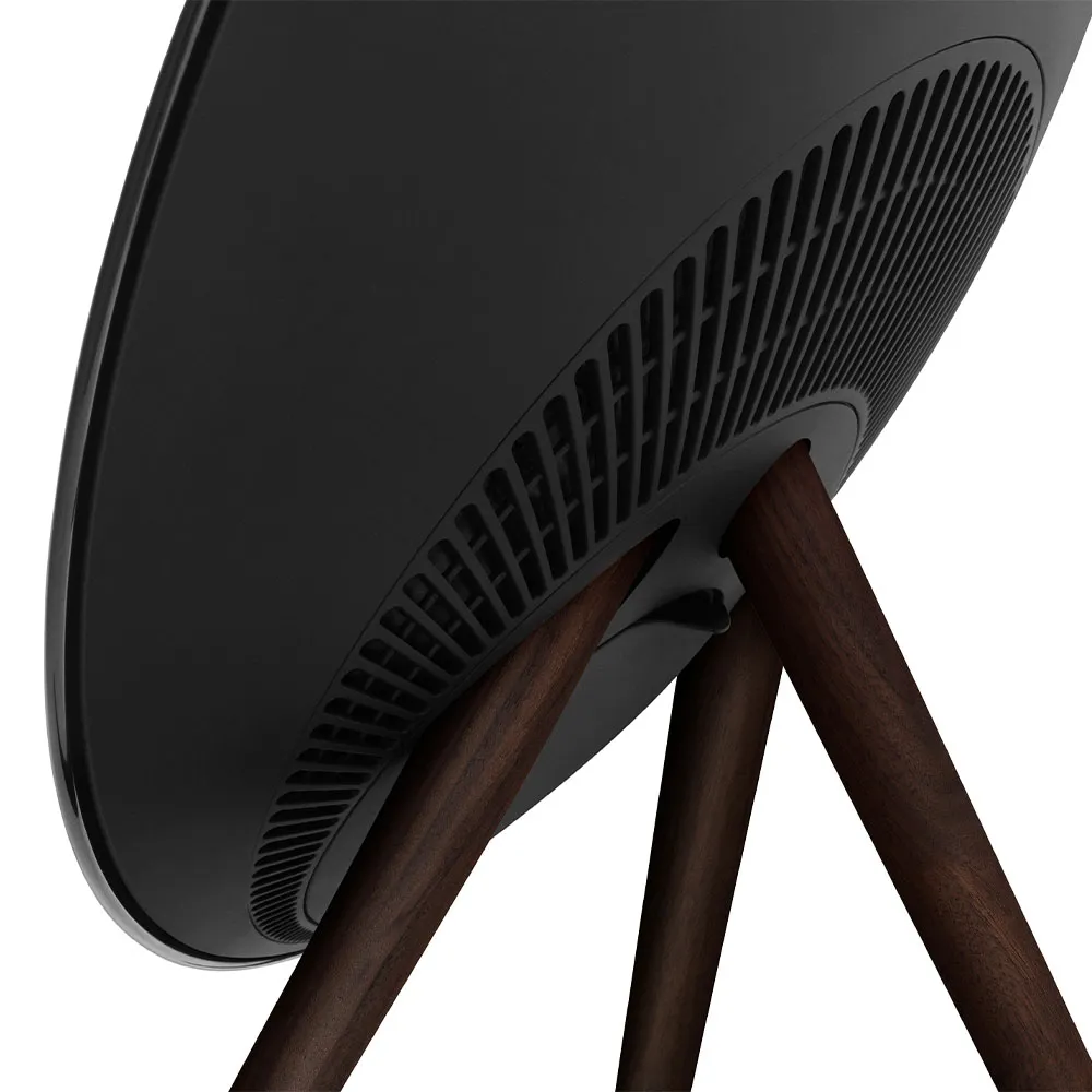 Speaker Bang & Olufsen Beosound A9 5th Gen.