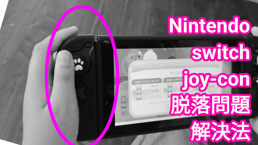 純正ジョイコンが勝手に外れる件〈解決済〉 | もえるごみぶろぐ