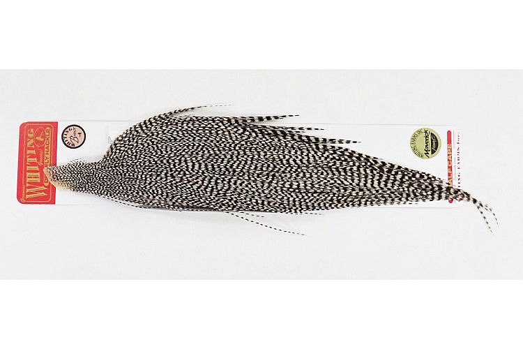 WHITING ホワイティング ジェネティック ハックル 杜の家ブルック 通販