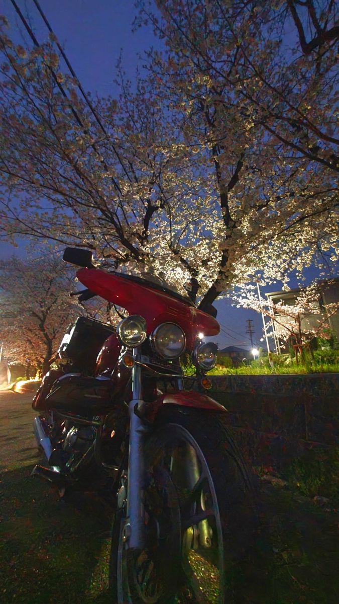 投稿詳細｜MOTOCLE