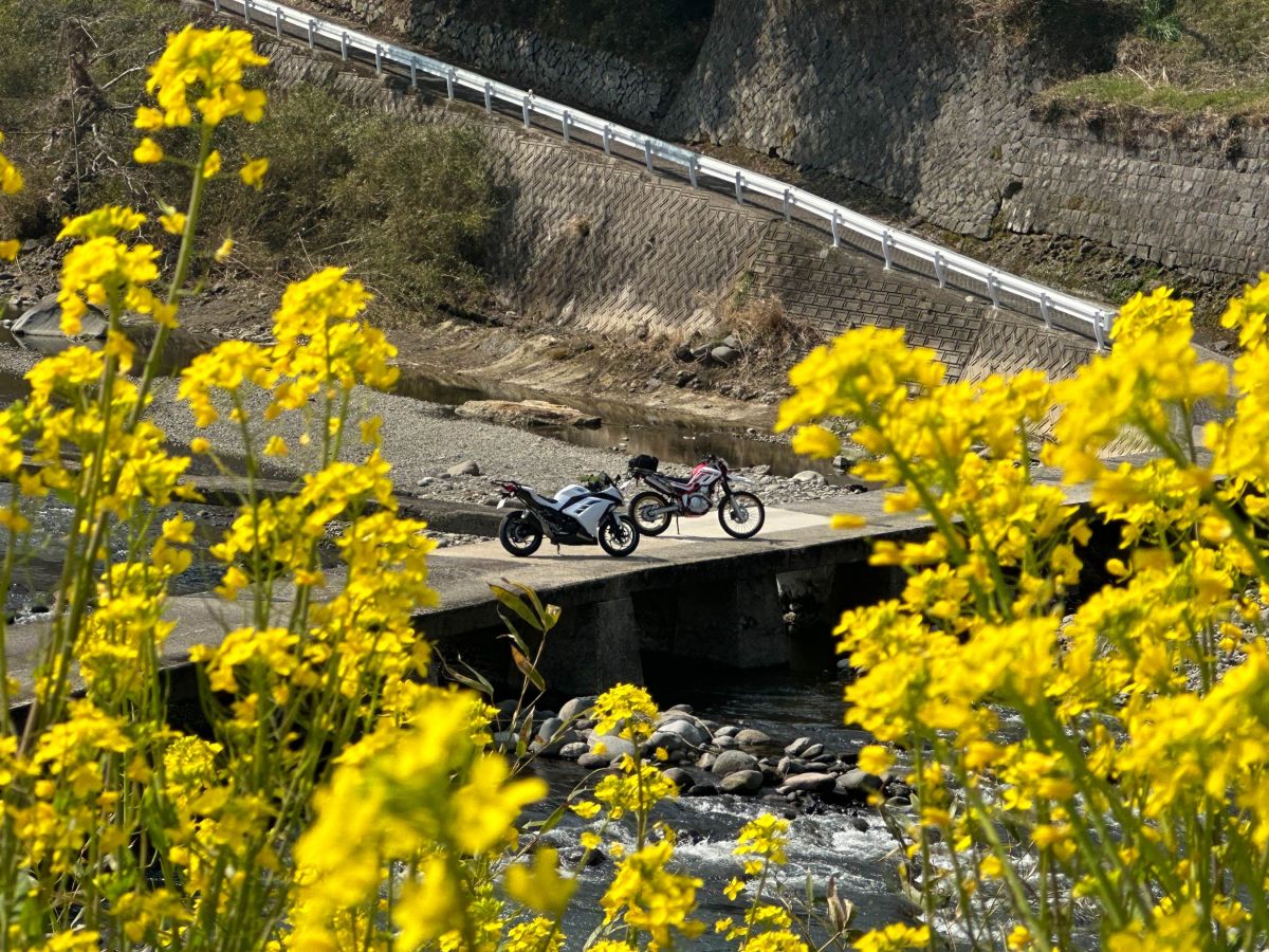 投稿詳細｜MOTOCLE