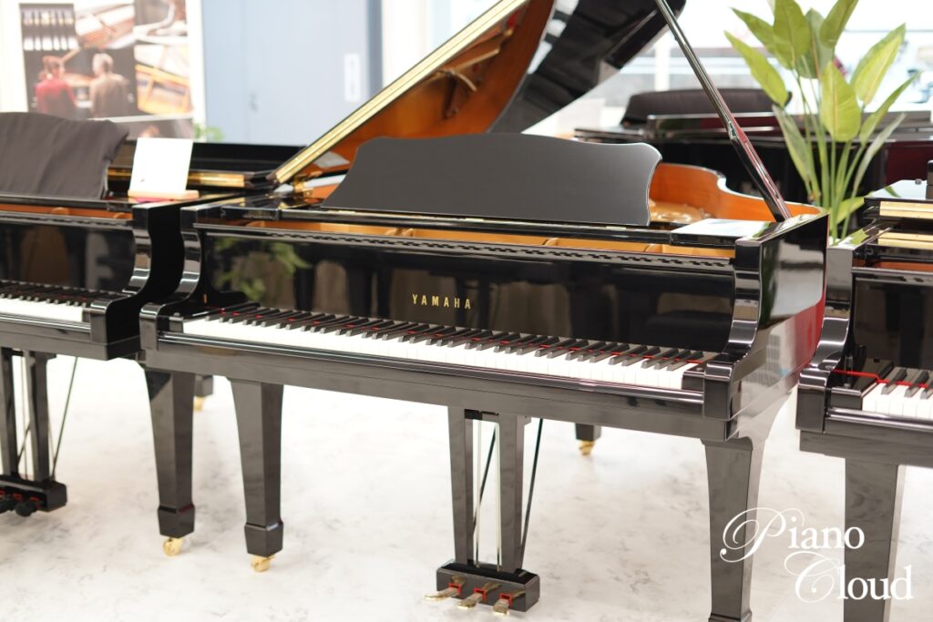 秋の特選ピアノフェア2024 11/2(土)～11/19(火) ※11/4追記 - ピアノ