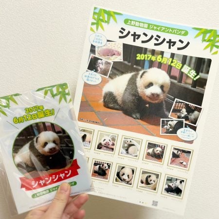 パンダちゃんありがとう！】ついに日本で観られるパンダちゃんがゼロに