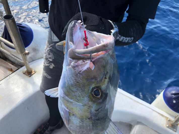 シマノ 20 チェルマーレ BG M165 見つけたら即バイトしないと買えない