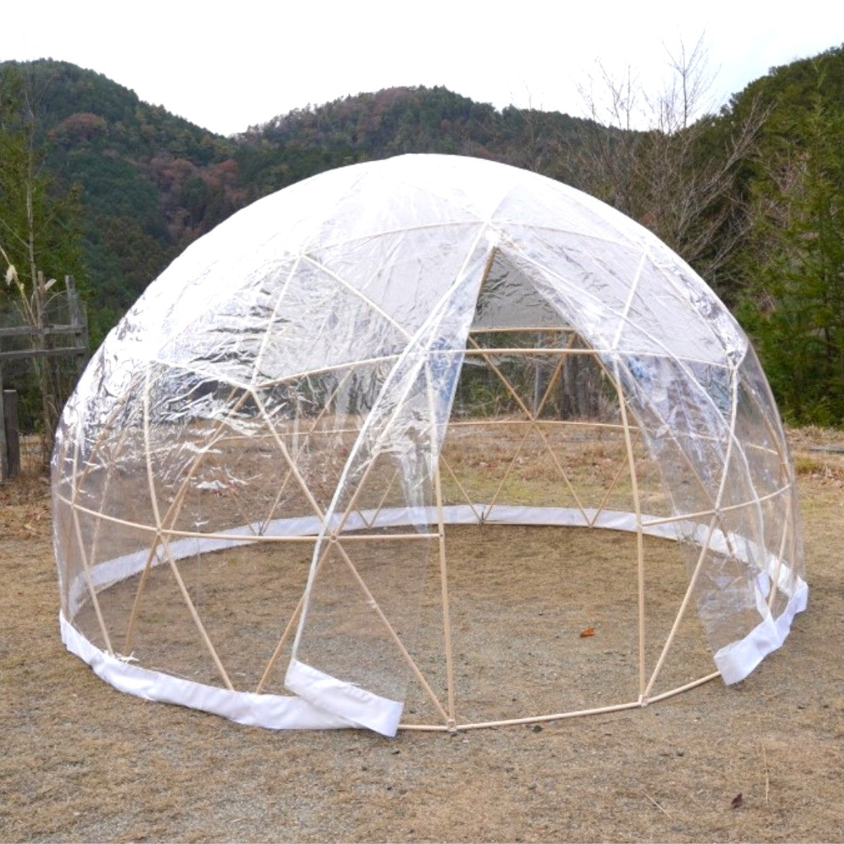 DSC03579-Photoroom_1500x.jpg?v