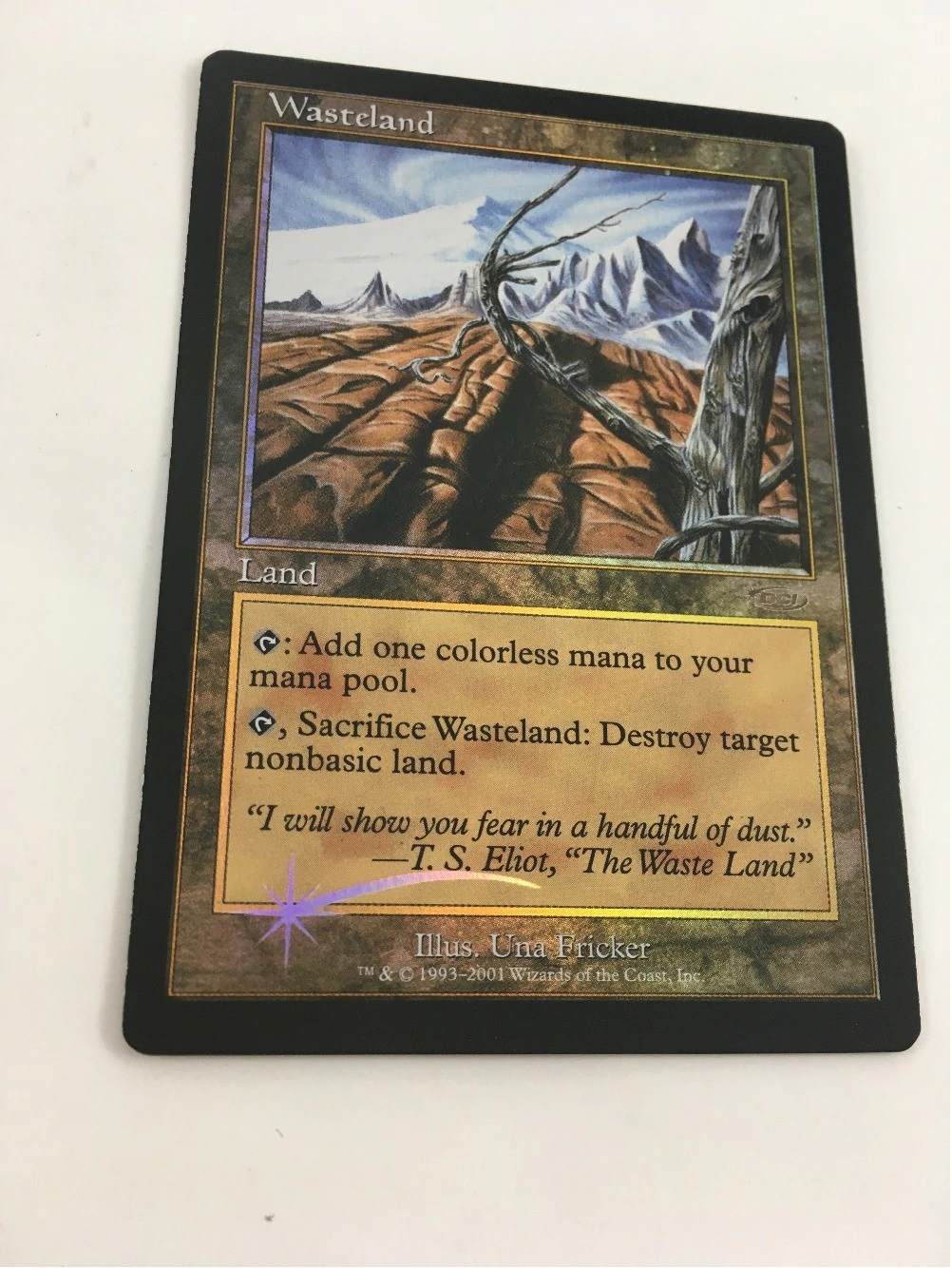Wasteland 不毛の大地 FOIL 045/045 MTG Wasteland 不毛の大地 FOIL