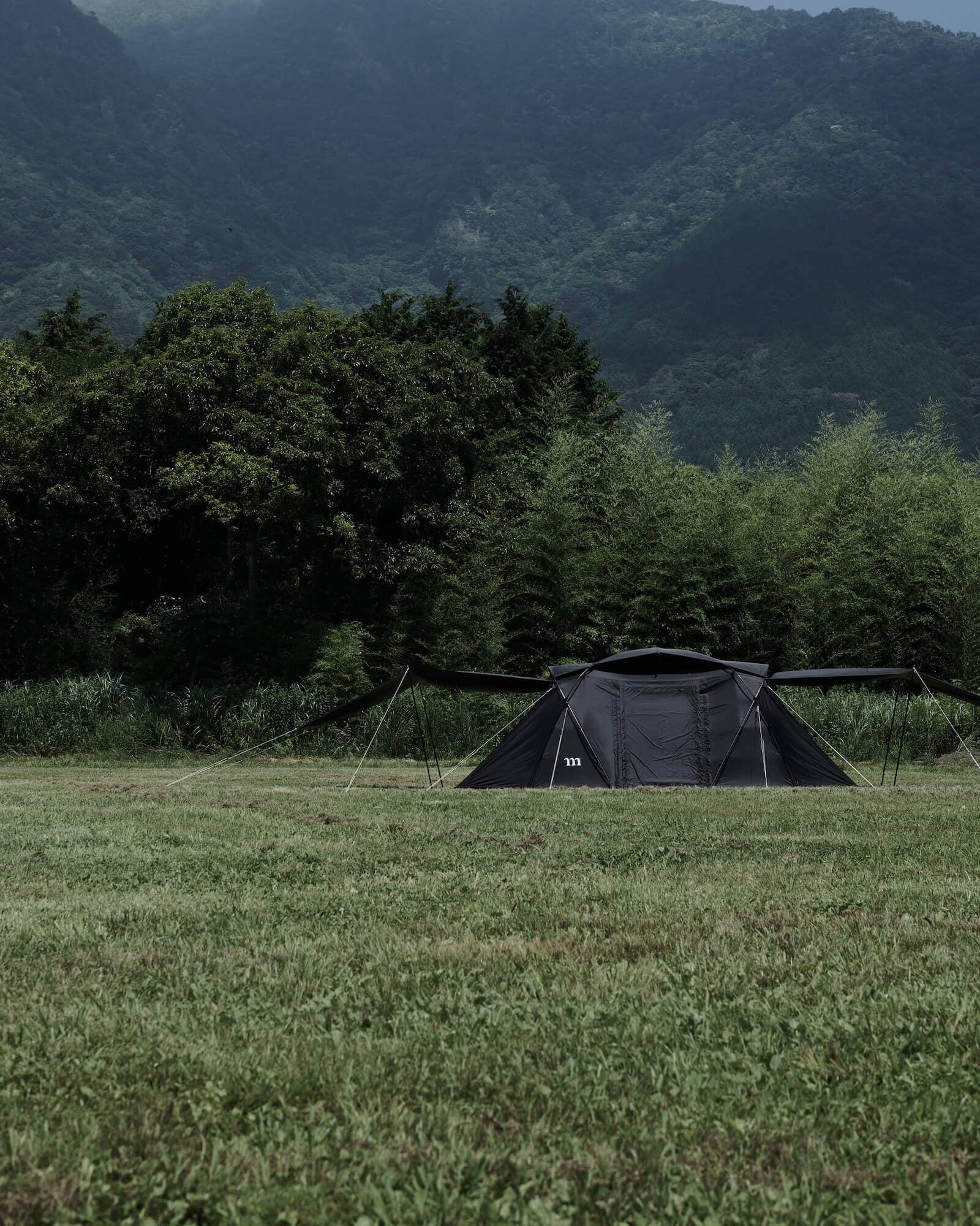 52272846212_15cdcf40a4_k_2_470