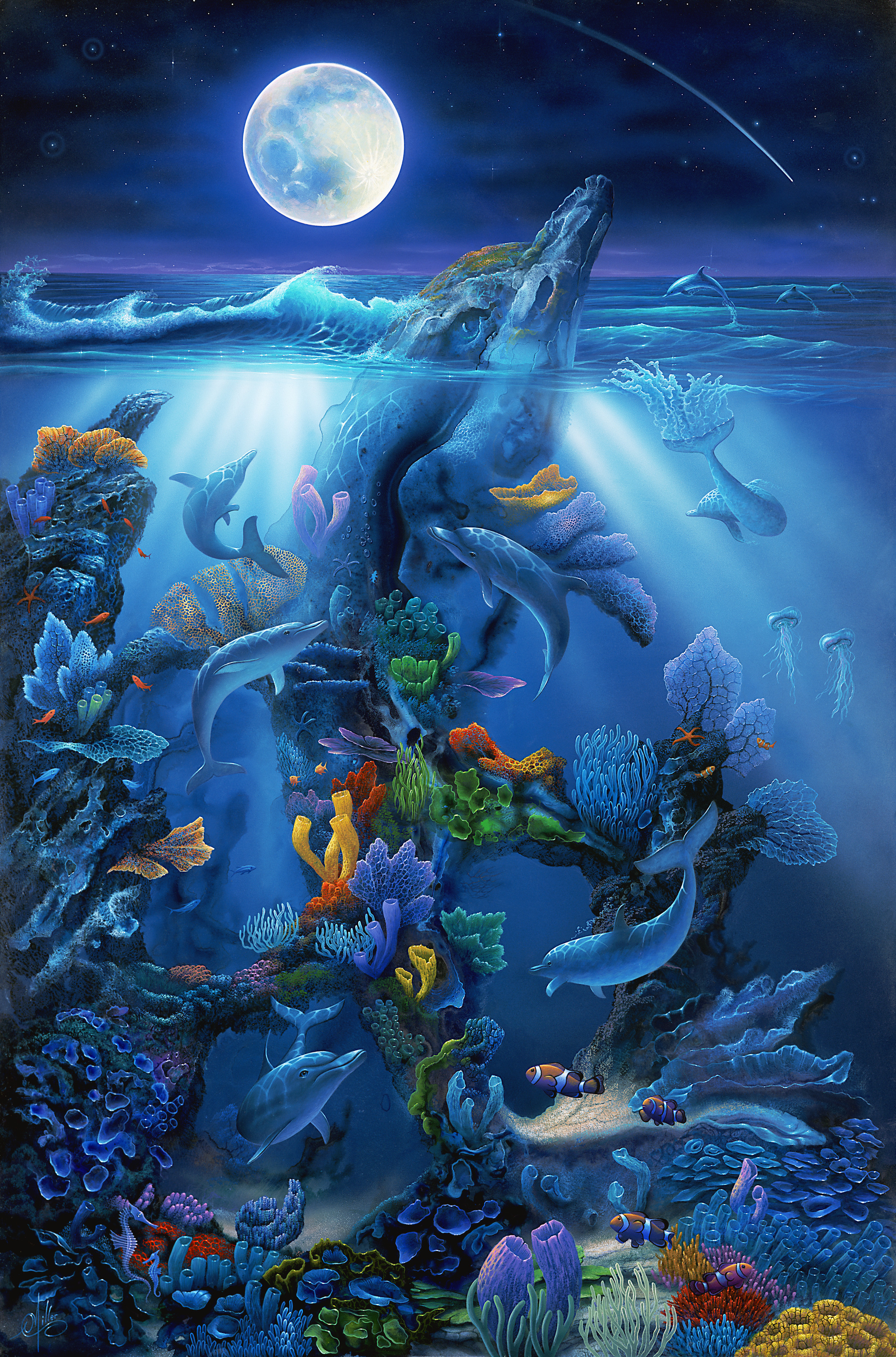 Dolphin Reef (Miller) Mural - Murals Your Way