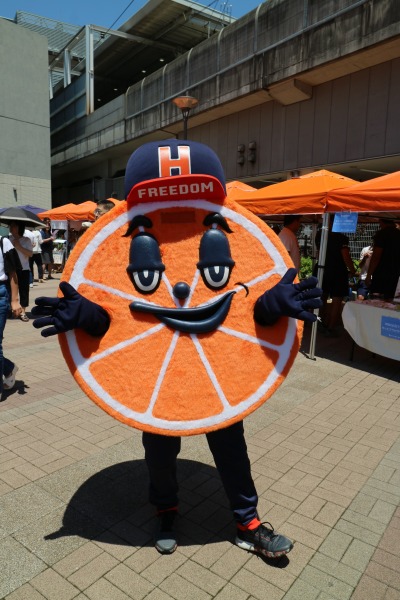 法政大学アメリカンフットボール部「ORANGE」の人工芝フィールドと