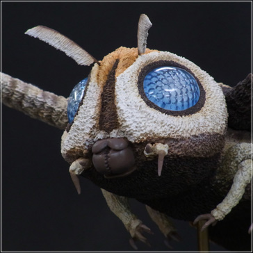 東宝大怪獣リーズ 「モスラ 成虫 （1961版）」 少年リック限定版