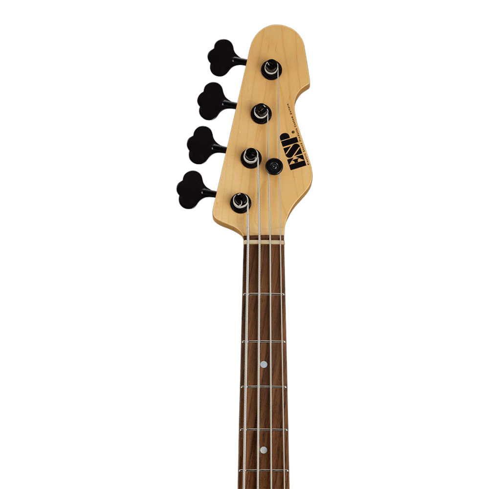 ESP AP R/BKS (Black Satin)｜ミュージックランドKEY