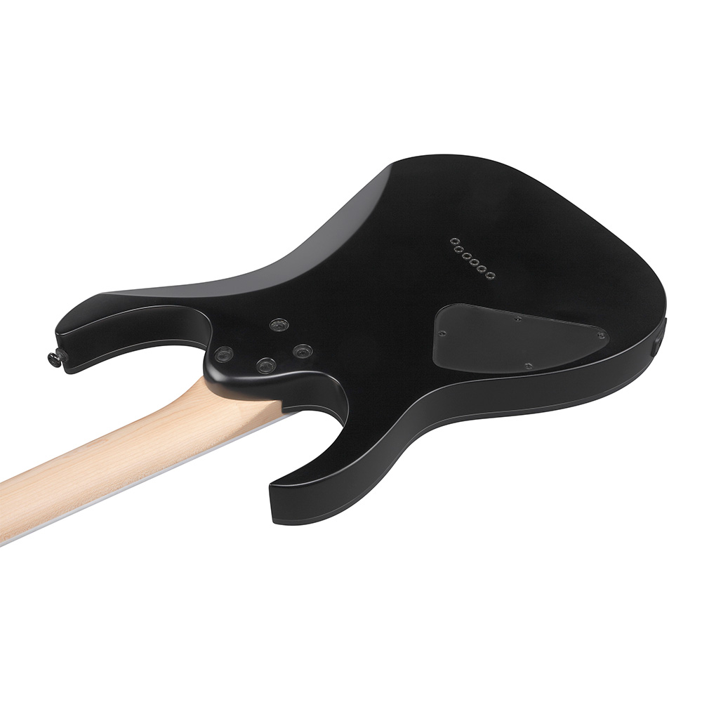 Ibanez RG Standard RG421EX-BKF (Black Flat)｜ミュージックランドKEY