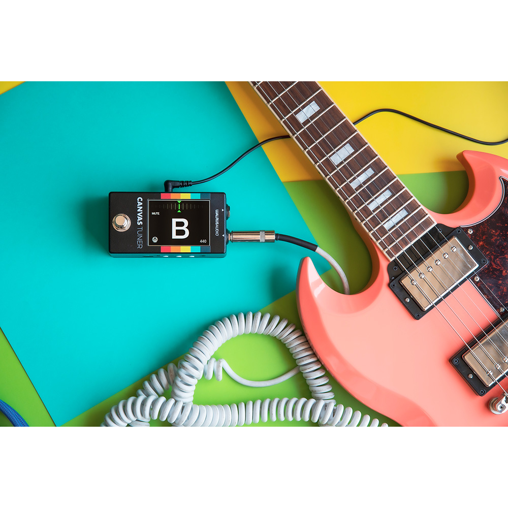 WALRUS AUDIO Canvas Tuner [WAL-CANV/TU]｜ミュージックランドKEY