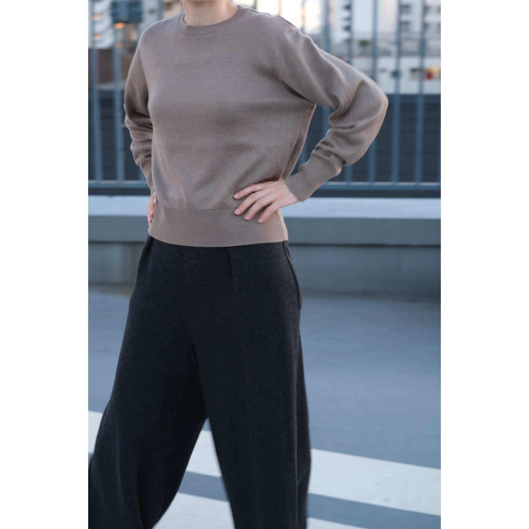 起毛シルクニット クルーネックプルオーバー, 2024年モデル, グレージュ