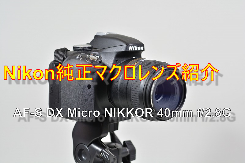 物撮り環境を構築する その③ 】Nikon純正マクロレンズ AF-S DX Micro