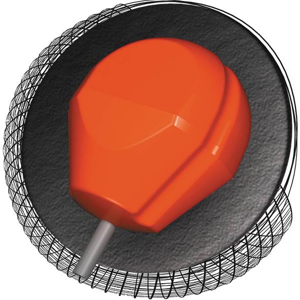 HAMMER OBSESSION TOUR PEARL オブセッション ツアー パール 丨