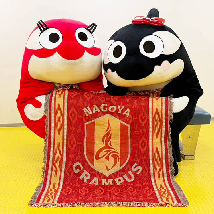 2026新春鯱袋販売のお知らせ｜ニュース｜名古屋グランパス公式サイト