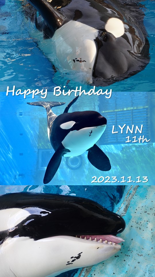 リンおめでとう♡」の気持ちで、作りました☆｜研究・教育｜名古屋港