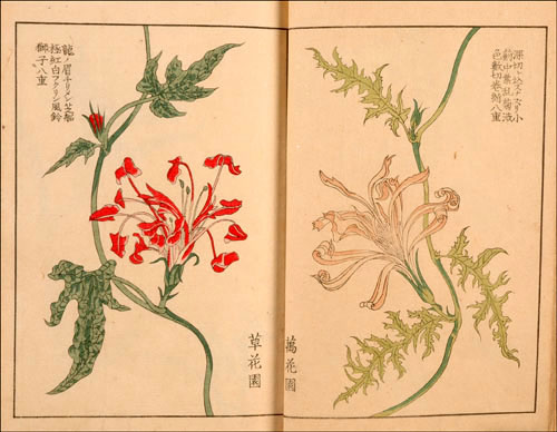 名古屋園芸・花の博物館