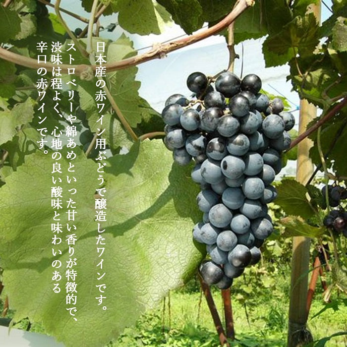 シャトーTS レッド 辛口 – 【公式】中伊豆ワイナリーヒルズ