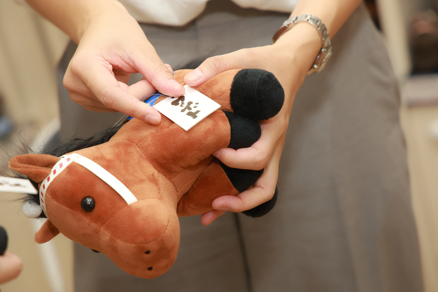 大人気のアイドルホースぬいぐるみシリーズに込められた競馬愛 | 中央