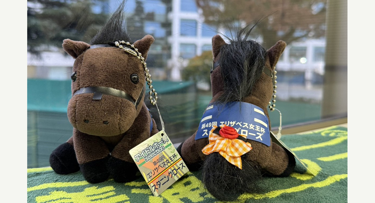 アイドルホースぬいぐるみ グランアレグリア号プレゼント | | 中山