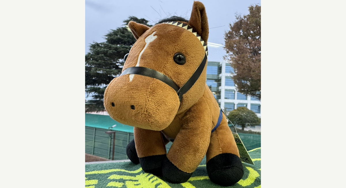 アイドルホースぬいぐるみ ドウデュース号プレゼント | | 中山