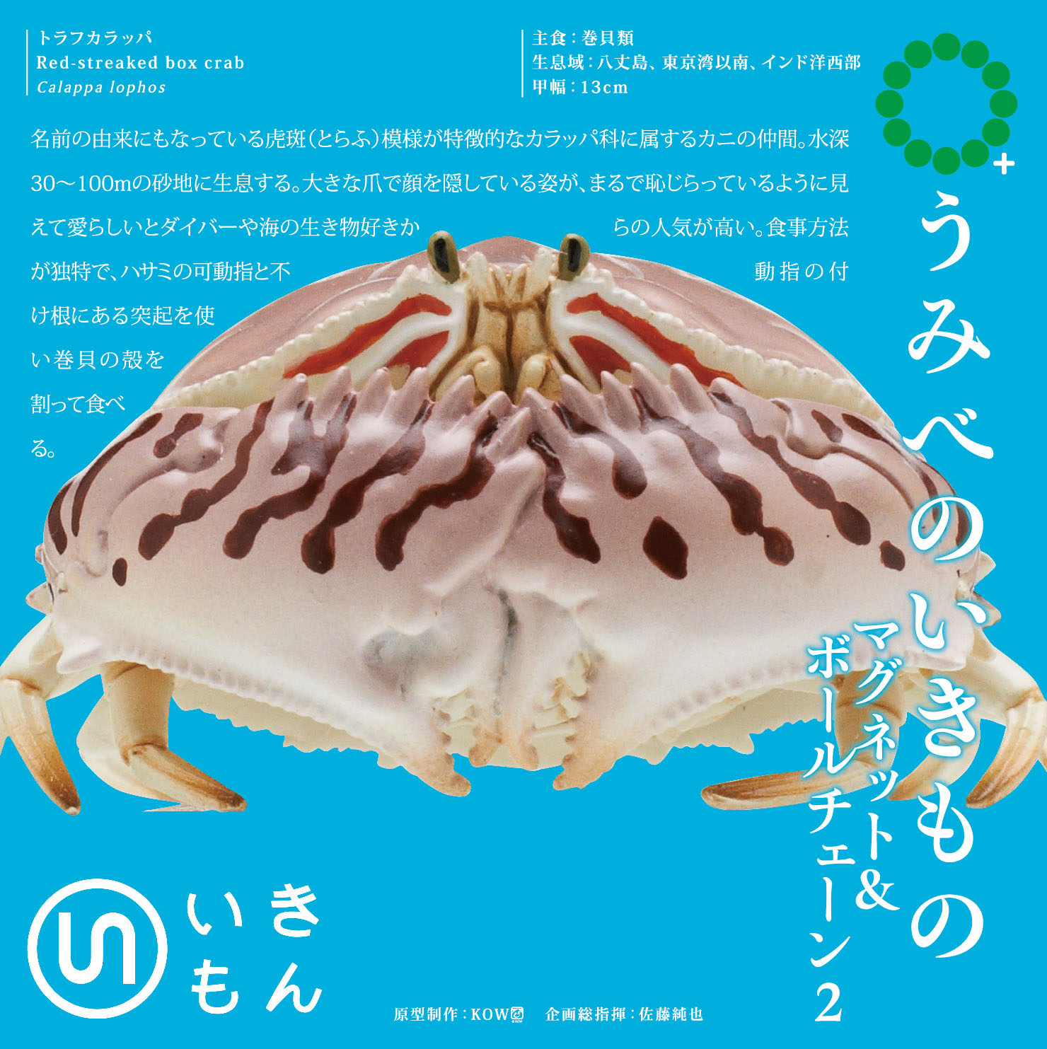 うみべのいきもの2 マグネット＆ボールチェーン – ネイチャー