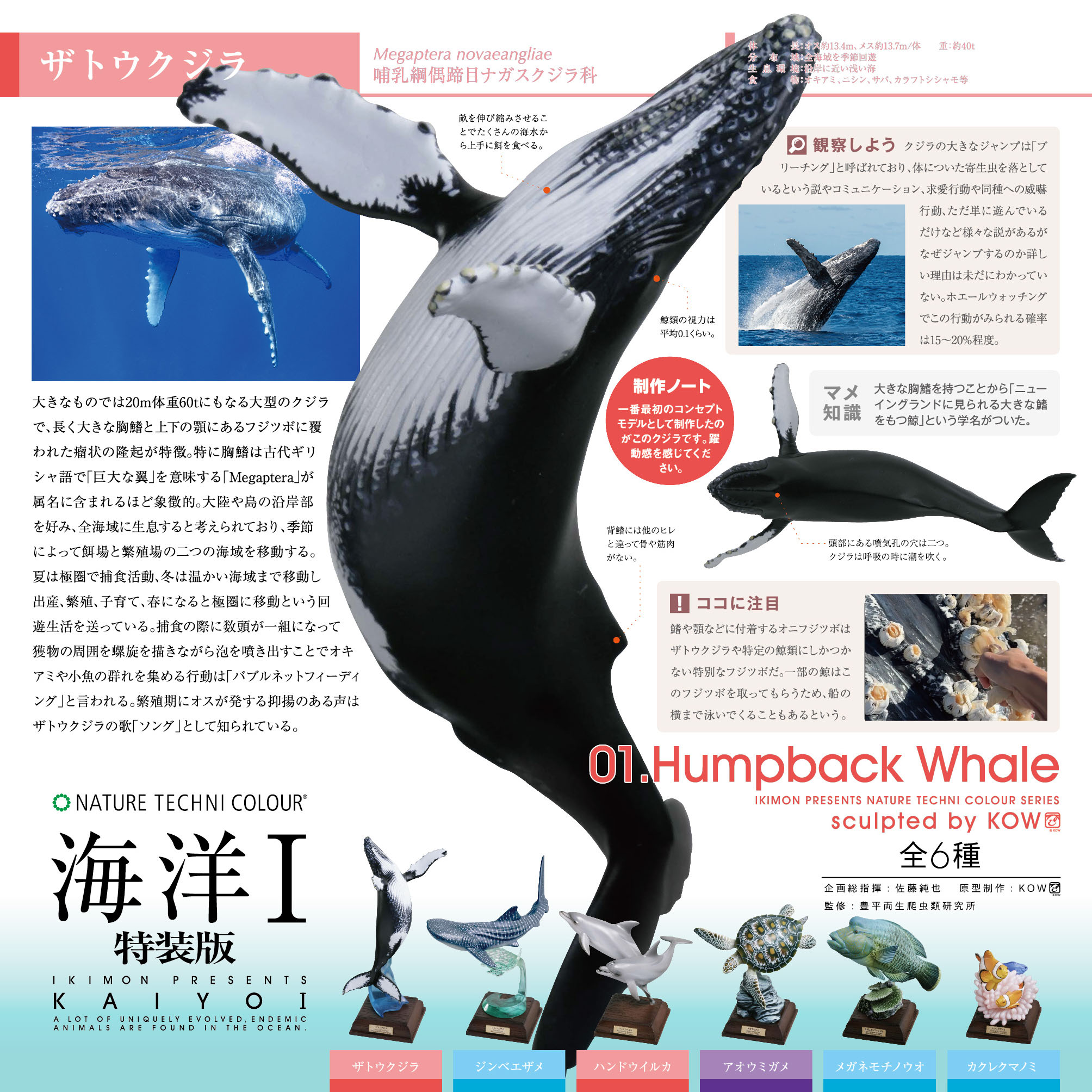 NTC 海洋Ⅰ 特装版 – ネイチャーテクニカラー公式