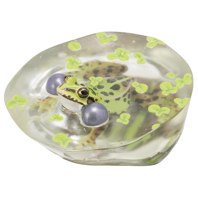 NTC 日本のカエル 特装版 – ネイチャーテクニカラー公式