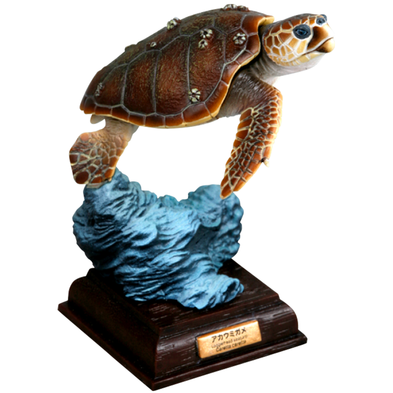 NTC 日本のカメ 特装版 – ネイチャーテクニカラー公式